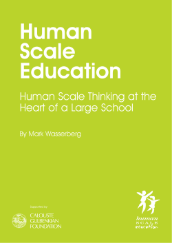 Human Scale Thinking at the Heart of a Large School
