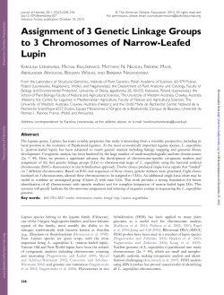 Assignment of 3 Genetic Linkage Groups to 3 Chromosomes of