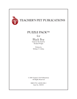 Black Boy - Puzzle Pack - Sampler PDF
