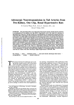 Adrenergic Neurotransmission in Tail Arteries from