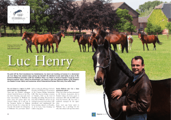 Studhero - Luc Henry