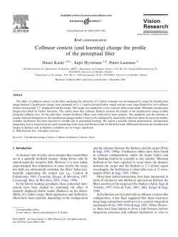 Collinear context (and learning) change the profile of the perceptual