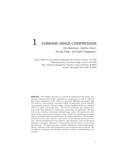 1 subband image compression - The University of Texas at Dallas