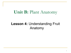 Unit B: Plant Anatomy Lesson 4: Understanding Fruit Anatomy