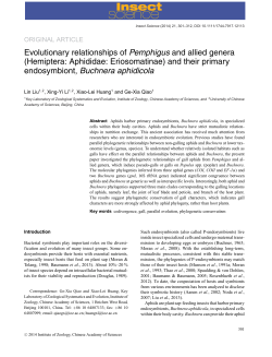 Evolutionary relationships of Pemphigus and allied genera