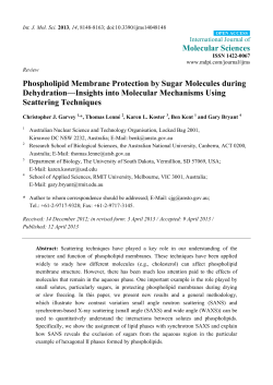 Phospholipid Membrane Protection by Sugar Molecules during