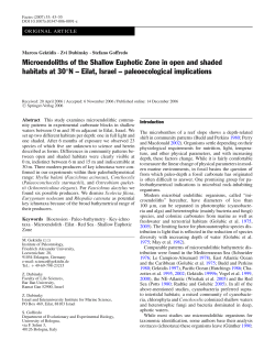 Microendoliths of the Shallow Euphotic Zone in open and shaded