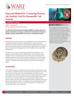 Improved Method for Converting Biomass into Levulinic Acid for