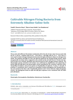 Cultivable Nitrogen Fixing Bacteria from Extremely Alkaline