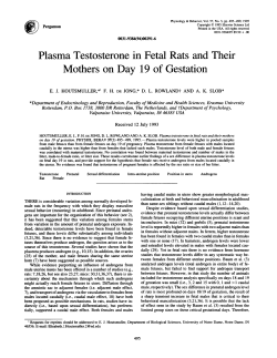 Plasma Testosterone in Fetal Rats and Their Mothers on Day 19 of