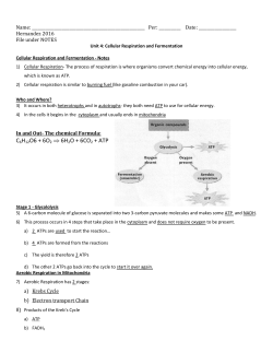 C6H12O6 + 6O2 ⇒ 6H2O + 6CO2 + ATP