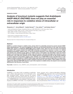 Analysis of knockout mutants suggests that Arabidopsis NADP