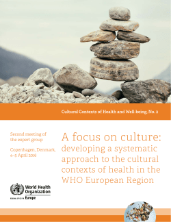 A focus on culture: developing a systematic approach