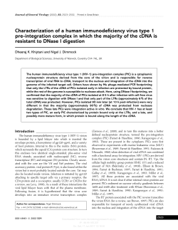 Characterization of a human immunodeficiency virus type 1 pre