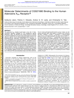 Molecular Determinants of CGS21680 Binding to the Human