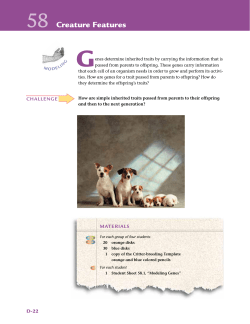 Activity 58, “Creature Features,”