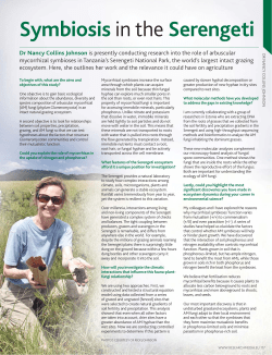 Symbiosis in the Serengeti - Northern Arizona University