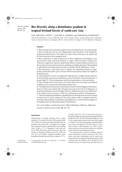 Bee diversity along a disturbance gradient in tropical lowland forests