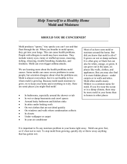 Help Yourself to a Healthy Home Mold and Moisture