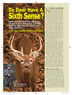 Do Deer Have A Sixth Sense?