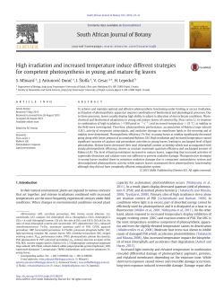 High irradiation and increased temperature induce different