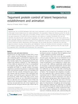 Tegument protein control of latent herpesvirus establishment and