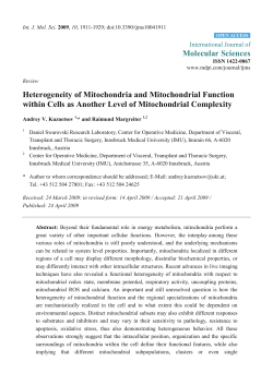 Heterogeneity of Mitochondria and Mitochondrial Function within