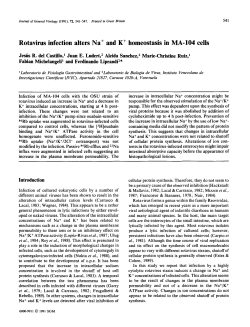Rotavirus infection alters Na &divide; and K &divide; homeostasis in MA