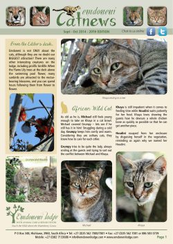 Catnews - Emdoneni Lodge