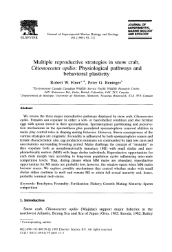 Multiple reproductive strategies in snow crab