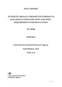 final report synthetic biology: prospective products and applications