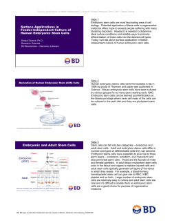Embryonic and Adult Stem Cells Surface Applications in Feeder