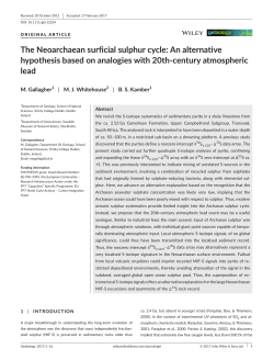 The Neoarchaean surficial sulphur cycle