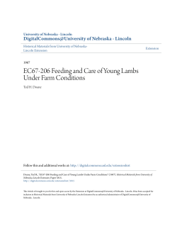 EC67-206 Feeding and Care of Young Lambs Under Farm Conditions