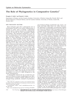 The Role of Phylogenetics in Comparative Genetics