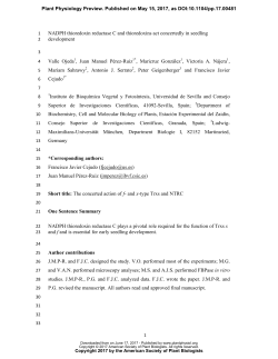 NADPH thioredoxin reductase C and thioredoxins
