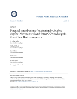 Mormon crickets - BYU ScholarsArchive