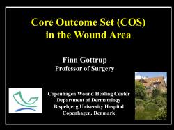 Core Outcome Set (COS) in the Wound Area