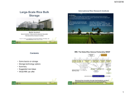 Large-Scale Rice Bulk Storage