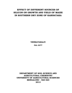 effect of different sources of silicon on growth and yield