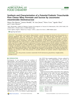 Synthesis and Characterization of a Potential Prebiotic