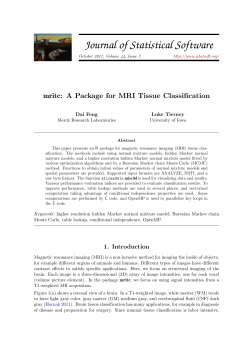 mritc: A Package for MRI Tissue Classification