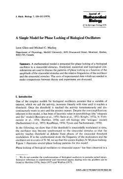 A simple model for phase locking of biological oscillators