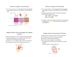 There are 3 types of muscle *ssue There are 3 types of muscle *ssue