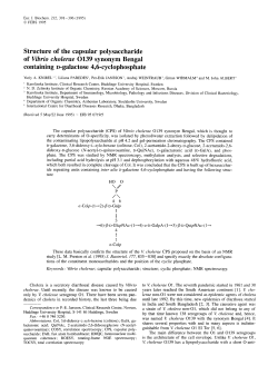 Structure of the capsular polysaccharide of Vibrio