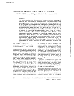 Induction of spreading during fibroblast movement.