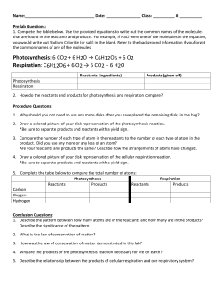 Photosynthesis: 6 CO2 + 6 H2O &rarr; C6H12O6 + 6 O2 Respiration