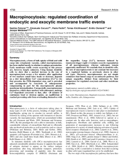 Macropinocytosis: regulated coordination of endocytic and exocytic