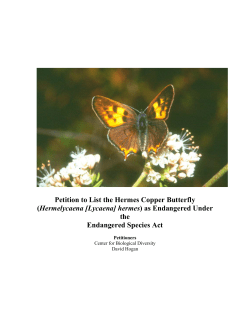 Petition to List the Hermes Copper Butterfly (Hermelycaena