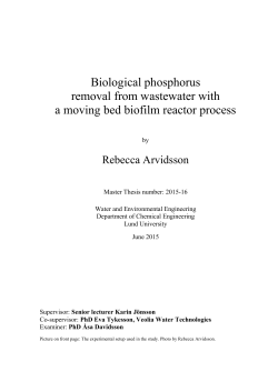Biological phosphorus removal from wastewater with a moving bed